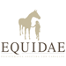 Equidae