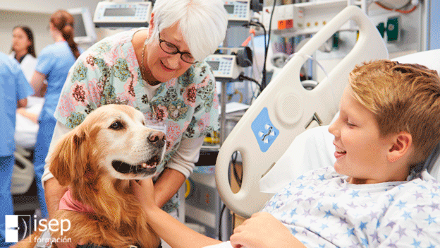 Zooterapia o terapia asistida con animales