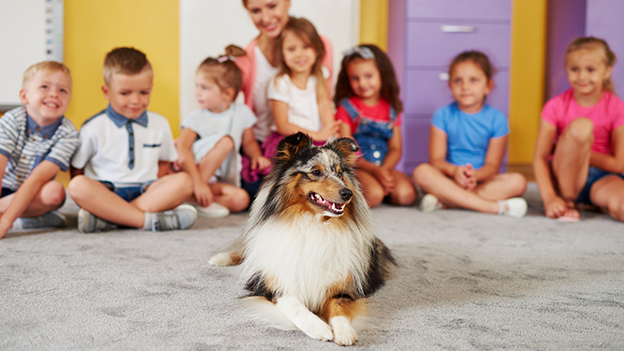 Perro de terapia o intervención: Características y cómo elegirlo